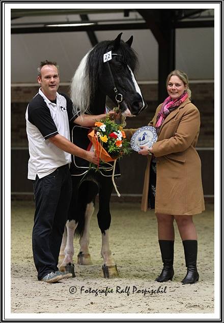 Maurits HK 2014. Foto: Ralf Pospishil